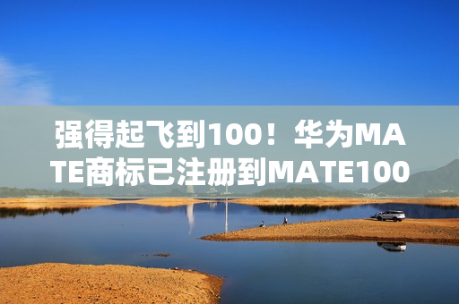 强得起飞到100！华为MATE商标已注册到MATE100