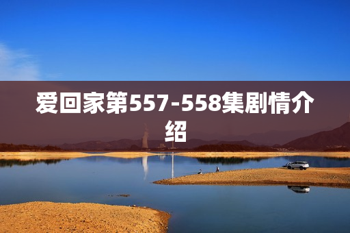 爱回家第557-558集剧情介绍