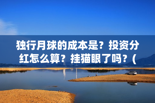 独行月球的成本是？投资分红怎么算？挂猫眼了吗？(独行月球制片人)