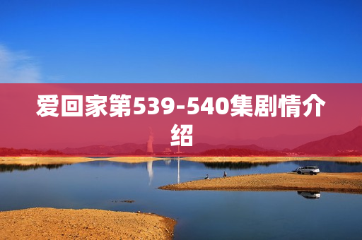 爱回家第539-540集剧情介绍