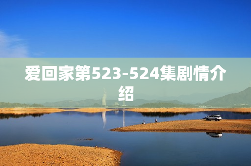 爱回家第523-524集剧情介绍