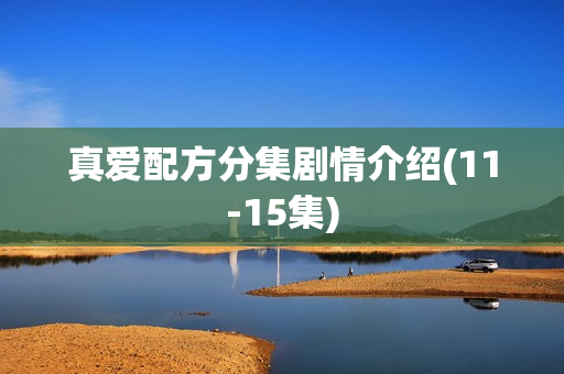 真爱配方分集剧情介绍(11-15集)