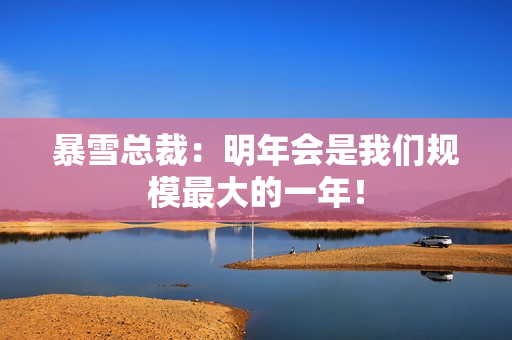 暴雪总裁：明年会是我们规模最大的一年！