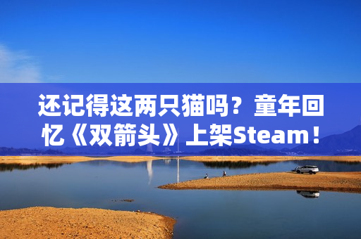 还记得这两只猫吗？童年回忆《双箭头》上架Steam！