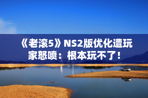 《老滚5》NS2版优化遭玩家怒喷：根本玩不了！