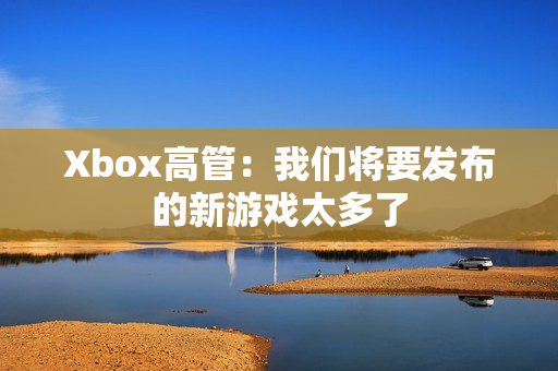 Xbox高管：我们将要发布的新游戏太多了