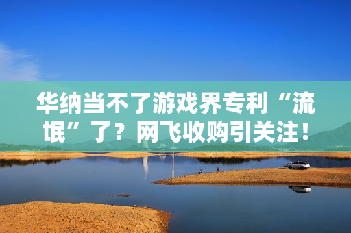 华纳当不了游戏界专利“流氓”了？网飞收购引关注！