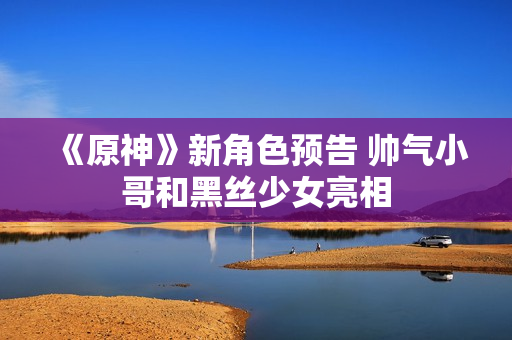 《原神》新角色预告 帅气小哥和黑丝少女亮相