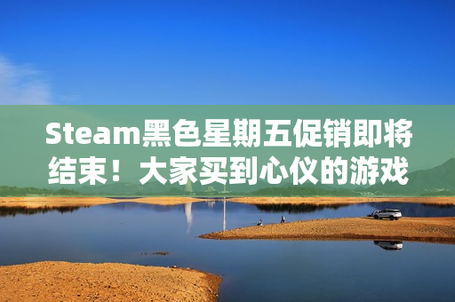 Steam黑色星期五促销即将结束！大家买到心仪的游戏了吗？