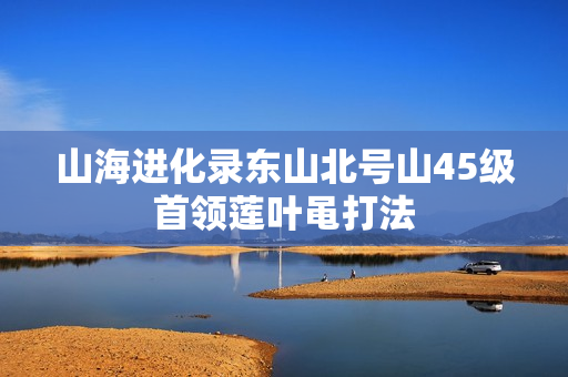 山海进化录东山北号山45级首领莲叶黾打法