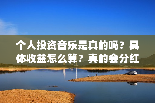 个人投资音乐是真的吗？具体收益怎么算？真的会分红吗？(个人投资音乐是做什么的)