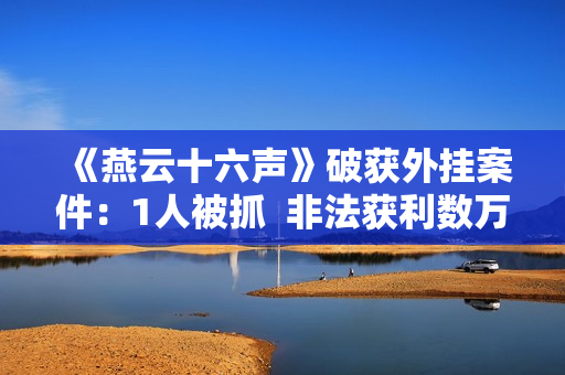 《燕云十六声》破获外挂案件：1人被抓  非法获利数万元