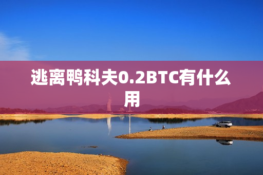逃离鸭科夫0.2BTC有什么用