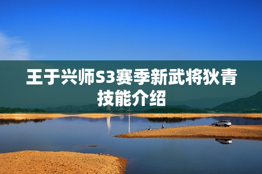 王于兴师S3赛季新武将狄青技能介绍