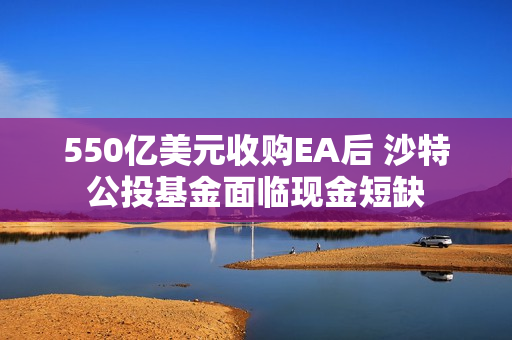 550亿美元收购EA后 沙特公投基金面临现金短缺