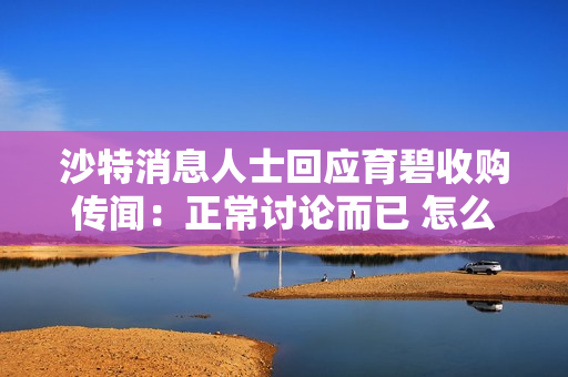 沙特消息人士回应育碧收购传闻：正常讨论而已 怎么就成国际新闻了