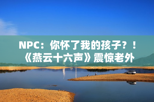 NPC：你怀了我的孩子？！《燕云十六声》震惊老外