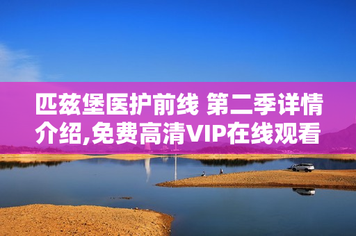 匹兹堡医护前线 第二季详情介绍,免费高清VIP在线观看