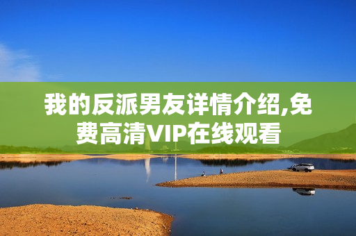 我的反派男友详情介绍,免费高清VIP在线观看