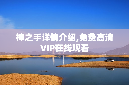 神之手详情介绍,免费高清VIP在线观看