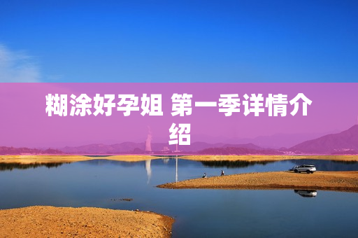 糊涂好孕姐 第一季详情介绍
