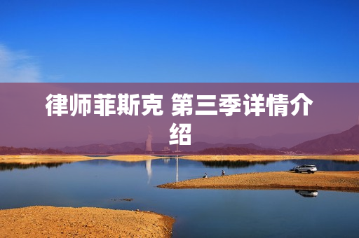 律师菲斯克 第三季详情介绍