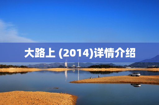 大路上 (2014)详情介绍
