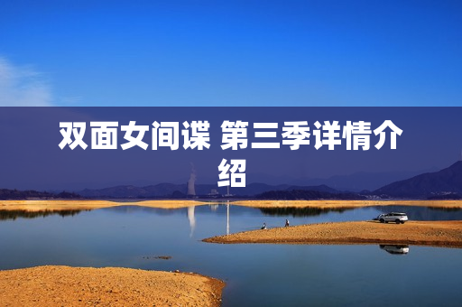 双面女间谍 第三季详情介绍