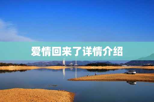 爱情回来了详情介绍