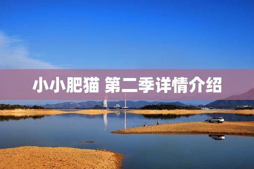 小小肥猫 第二季详情介绍