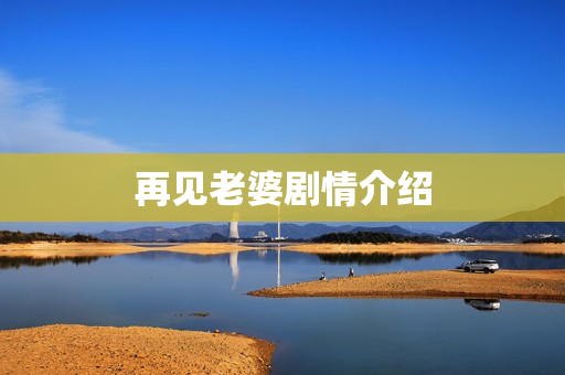 再见老婆剧情介绍