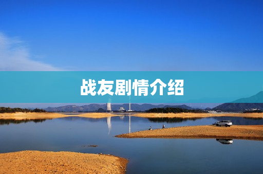 战友剧情介绍