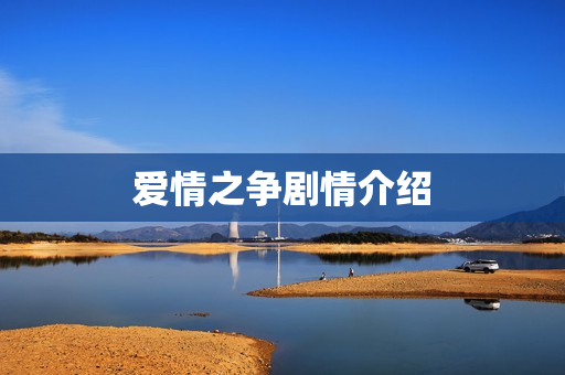 爱情之争剧情介绍