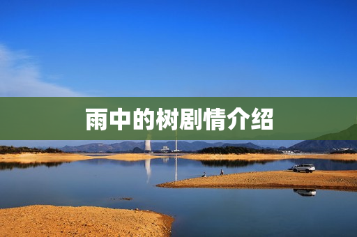 雨中的树剧情介绍