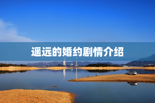 遥远的婚约剧情介绍