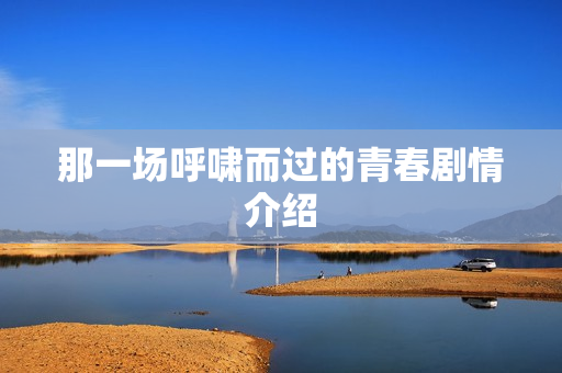 那一场呼啸而过的青春剧情介绍