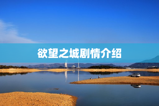 欲望之城剧情介绍