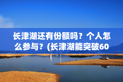 长津湖还有份额吗？个人怎么参与？(长津湖能突破60亿吗)