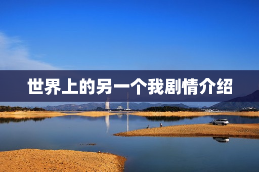 世界上的另一个我剧情介绍