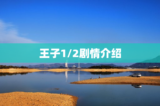 王子1/2剧情介绍