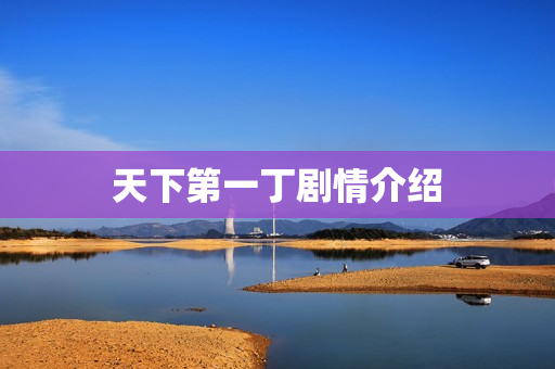 天下第一丁剧情介绍