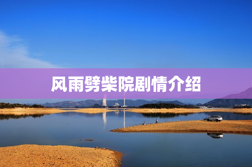 风雨劈柴院剧情介绍