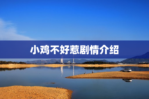 小鸡不好惹剧情介绍