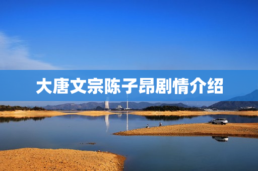大唐文宗陈子昂剧情介绍