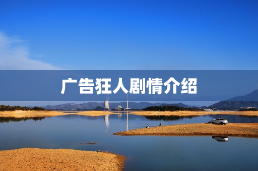 广告狂人剧情介绍