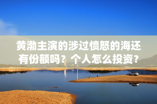 黄渤主演的涉过愤怒的海还有份额吗？个人怎么投资？(由黄渤主演的电影)