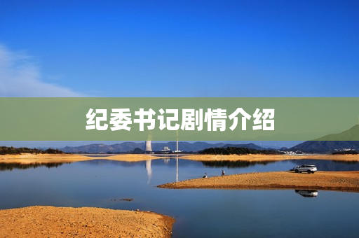 纪委书记剧情介绍
