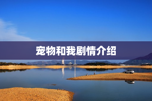 宠物和我剧情介绍