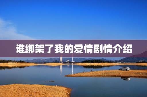 谁绑架了我的爱情剧情介绍