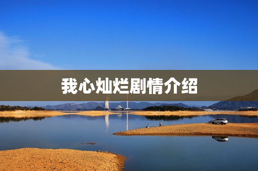 我心灿烂剧情介绍